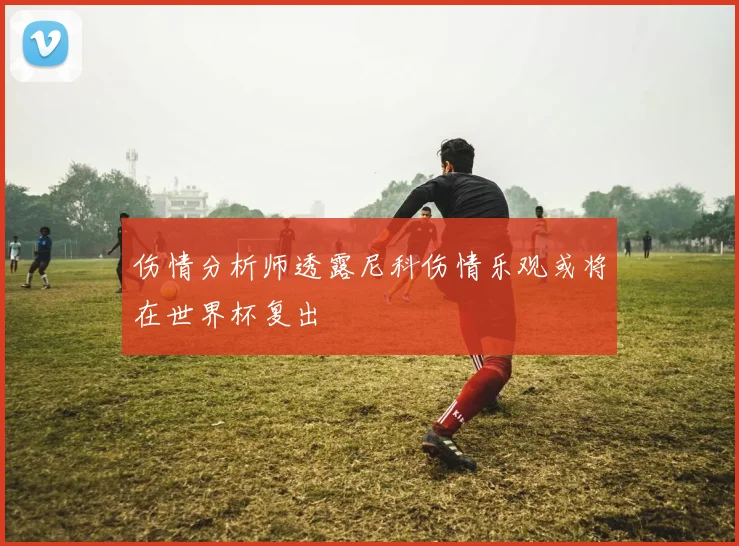 伤情分析师透露尼科伤情乐观或将在世界杯复出