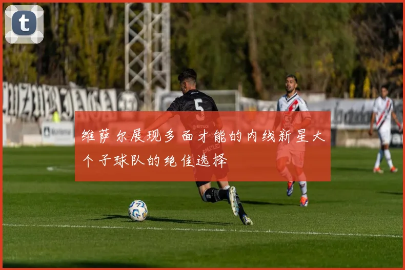 维萨尔展现多面才能的内线新星大个子球队的绝佳选择